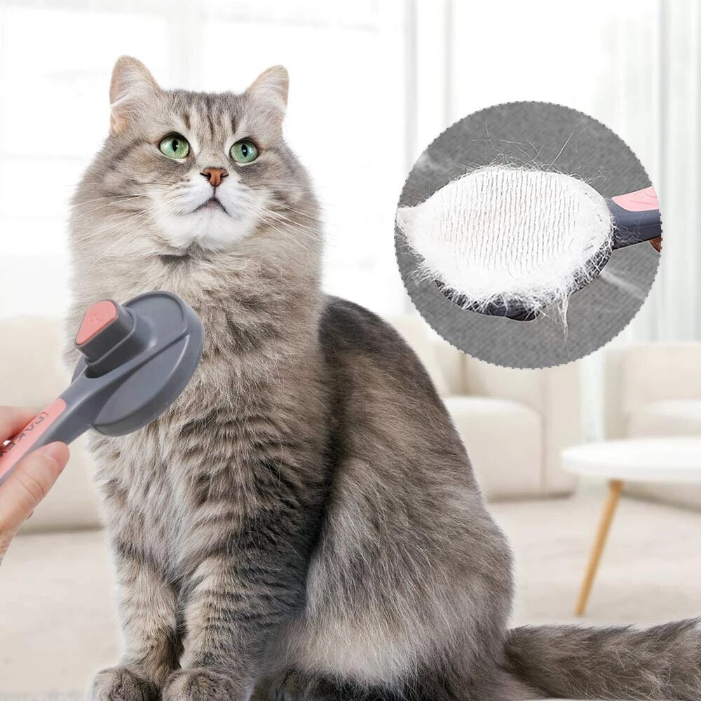 Brosse autonettoyante pour chats et chiens - X10 Maroc - Livraison gratuite -