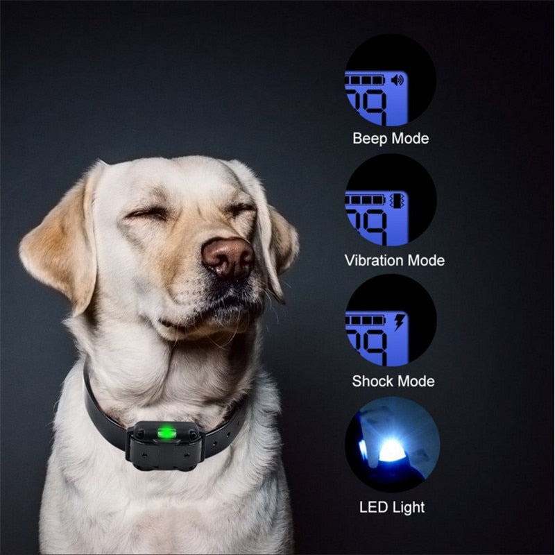 Collier de dressage pour chien étanche et rechargeable - X10 Maroc - Livraison gratuite -