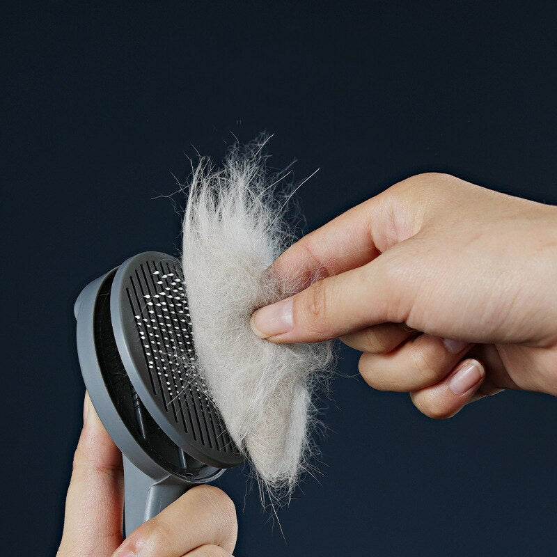 Brosse autonettoyante pour chats et chiens - X10 Maroc - Livraison gratuite -
