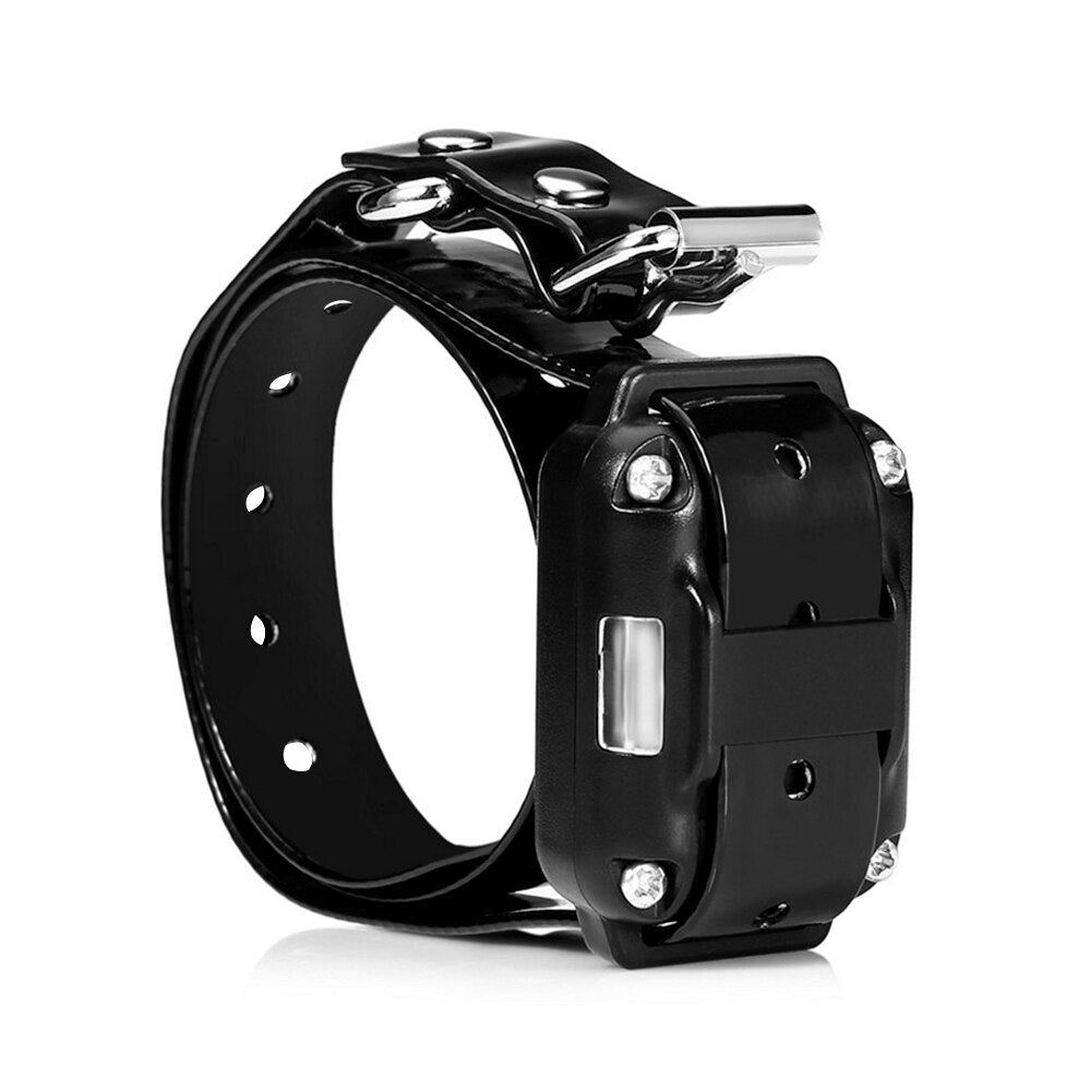 Collier de dressage pour chien étanche et rechargeable - X10 Maroc - Livraison gratuite -