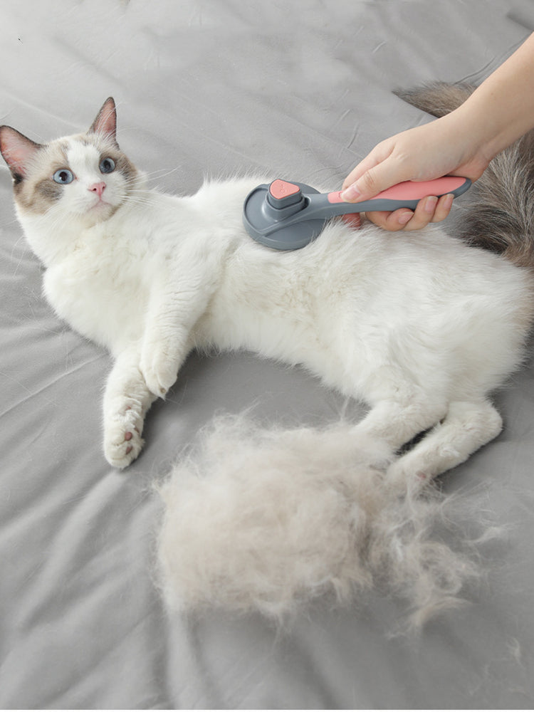 Brosse autonettoyante pour chats et chiens - X10 Maroc - Livraison gratuite -