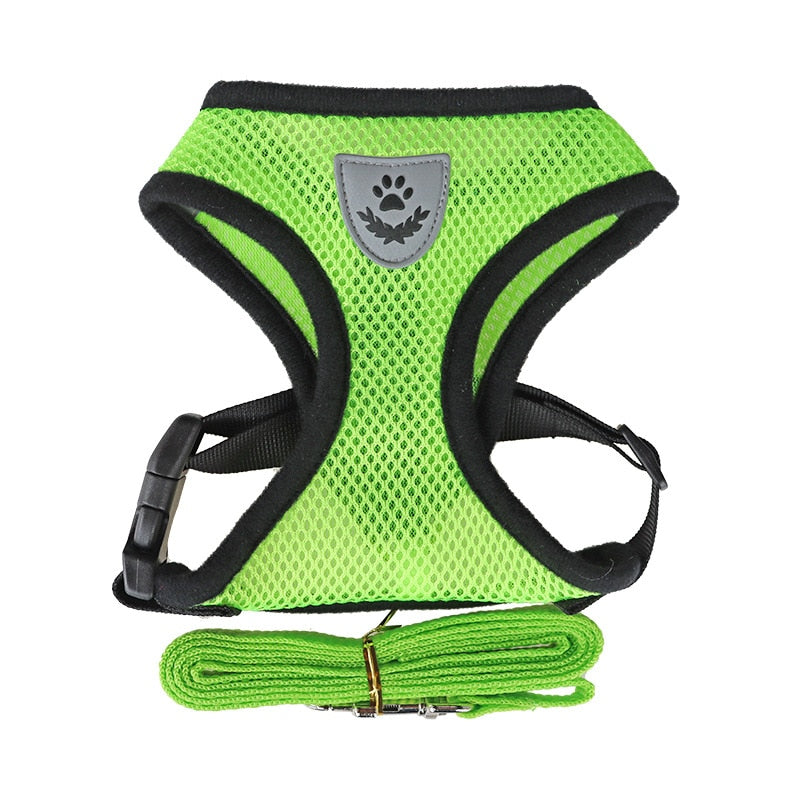 Harnais et laisse pour chats et chiens - X10 Maroc - Livraison gratuite - Vert