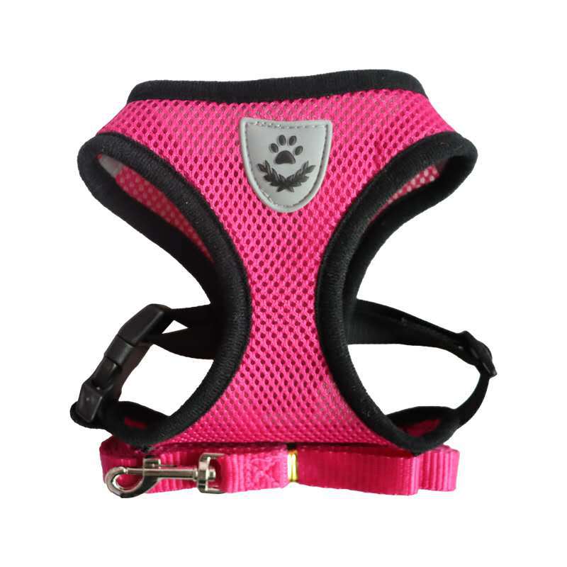 Harnais et laisse pour chats et chiens - X10 Maroc - Livraison gratuite -