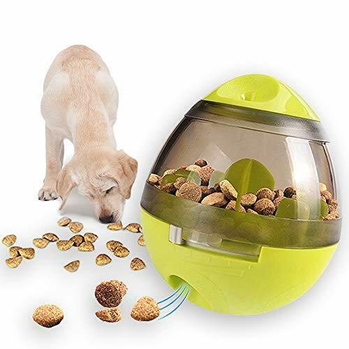 Distributeur interactif intelligent de nourriture pour animaux de compagnie - X10 Maroc - Livraison gratuite - Vert