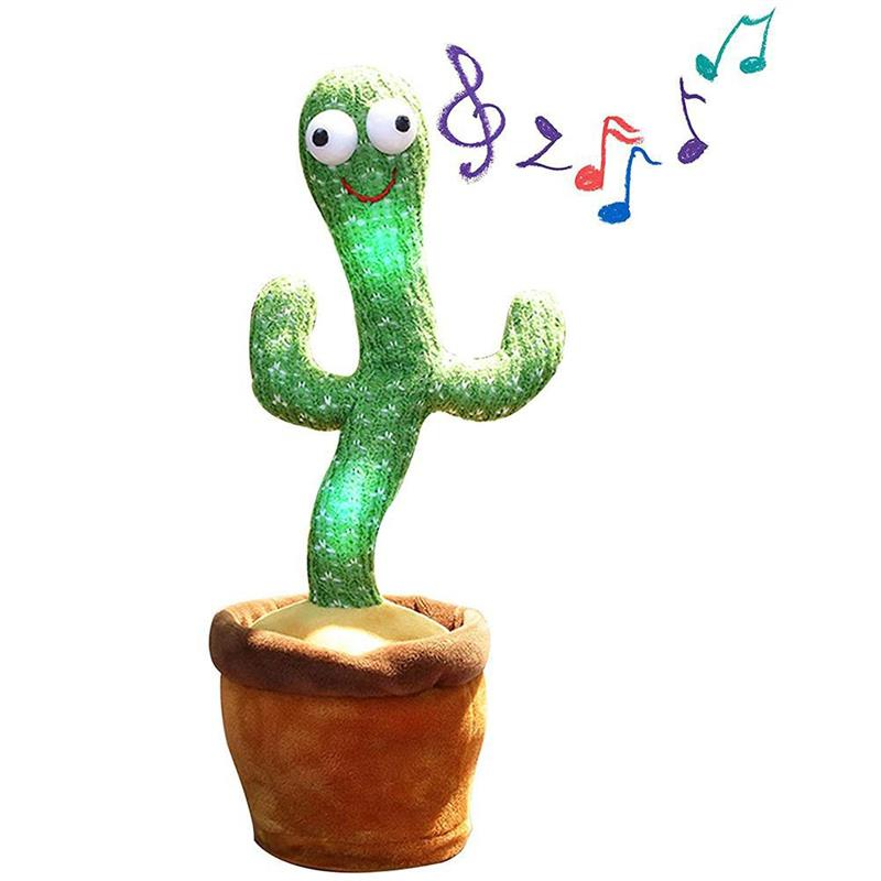 X10-Cactus dansant - X10 Maroc - Livraison gratuite -