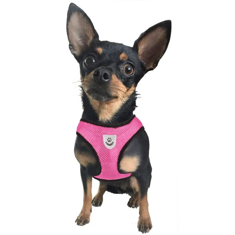 Harnais et laisse pour chats et chiens - X10 Maroc - Livraison gratuite -