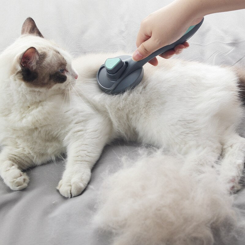 Brosse autonettoyante pour chats et chiens - X10 Maroc - Livraison gratuite -