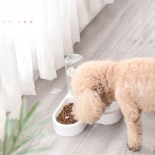 Gamelle automatique pour chats et chiens et eau potable - X10 Maroc - Livraison gratuite -