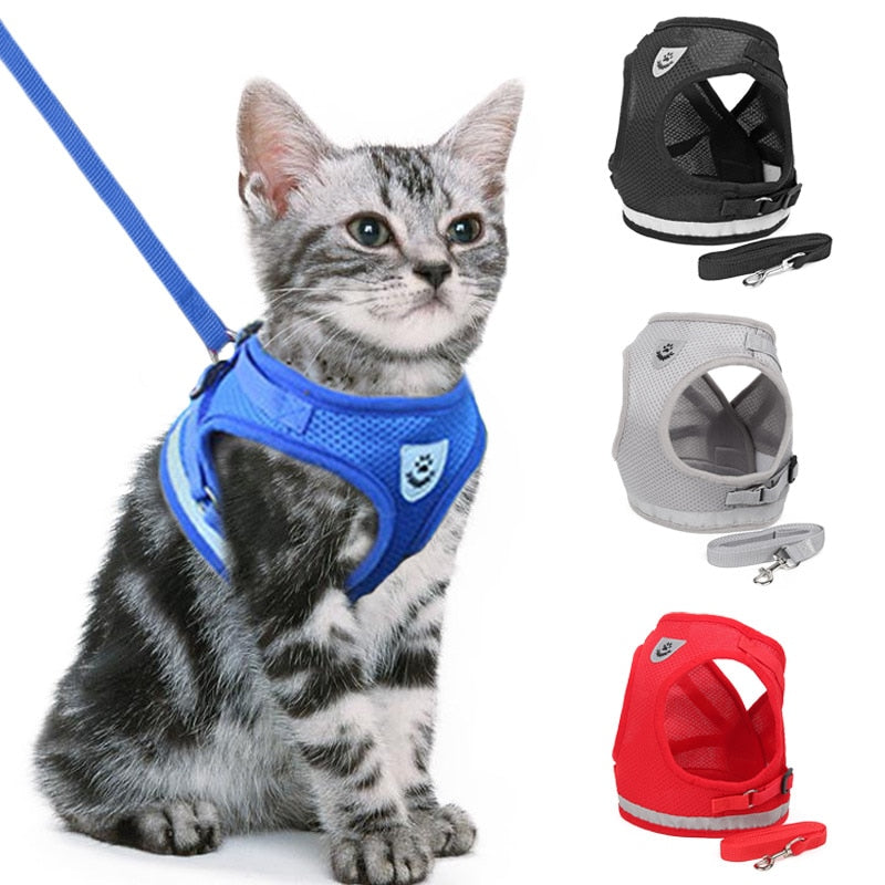Harnais et laisse pour chats et chiens - X10 Maroc - Livraison gratuite -