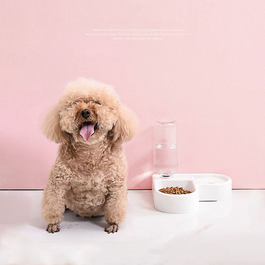 Gamelle automatique pour chats et chiens et eau potable - X10 Maroc - Livraison gratuite -