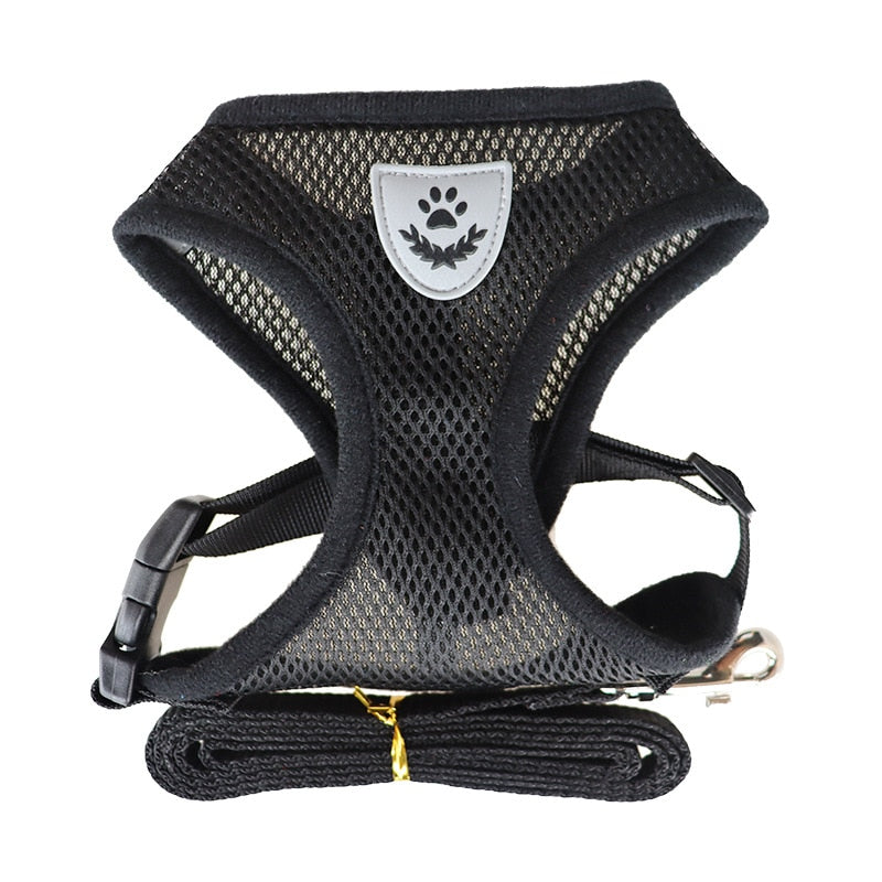 Harnais et laisse pour chats et chiens - X10 Maroc - Livraison gratuite - Noir