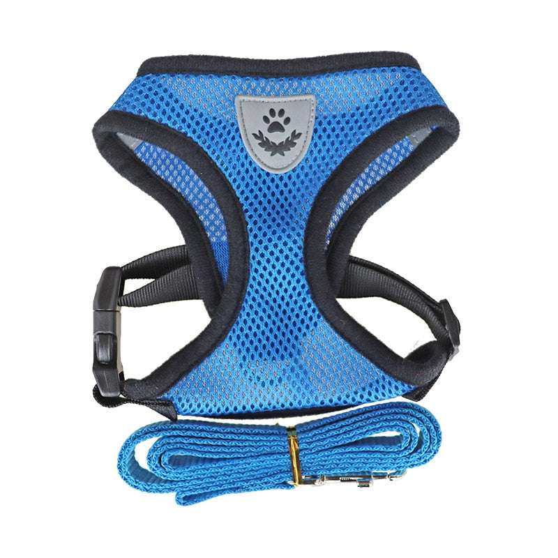 Harnais et laisse pour chats et chiens - X10 Maroc - Livraison gratuite - Bleu