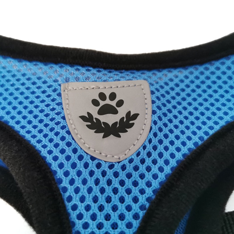 Harnais et laisse pour chats et chiens - X10 Maroc - Livraison gratuite -