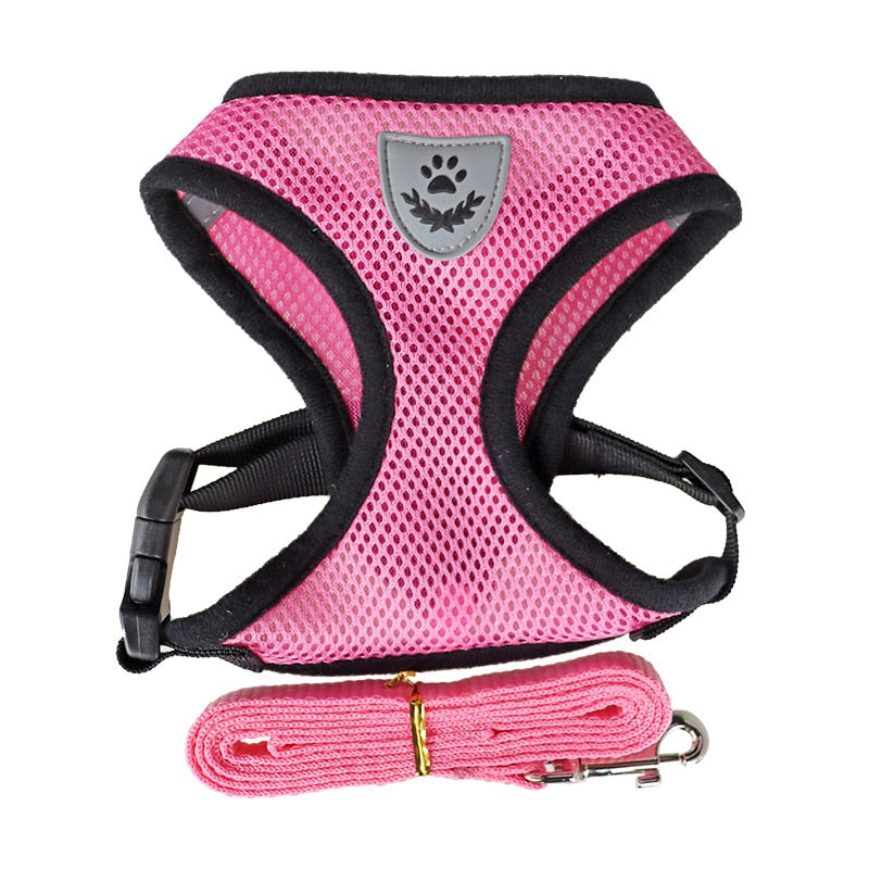 Harnais et laisse pour chats et chiens - X10 Maroc - Livraison gratuite - Rose