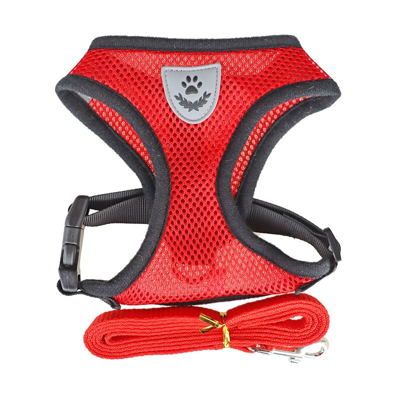 Harnais et laisse pour chats et chiens - X10 Maroc - Livraison gratuite - Rouge