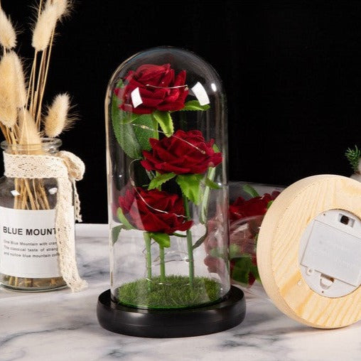 Lumière Romantique en Bouteille - X10 Maroc - Livraison gratuite - Noir