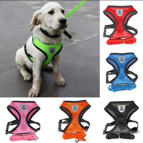 Harnais et laisse pour chats et chiens - X10 Maroc - Livraison gratuite -