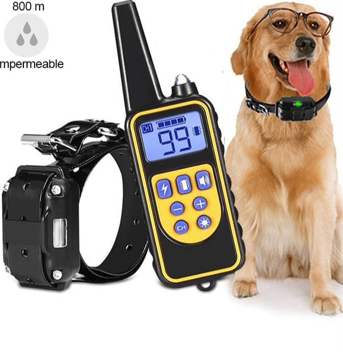Collier de dressage pour chien étanche et rechargeable - X10 Maroc - Livraison gratuite -