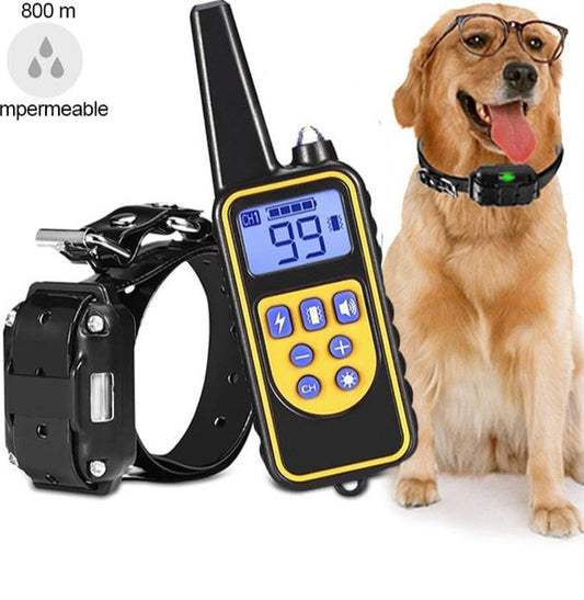 Collier de dressage pour chien étanche et rechargeable - X10 Maroc - Livraison gratuite -