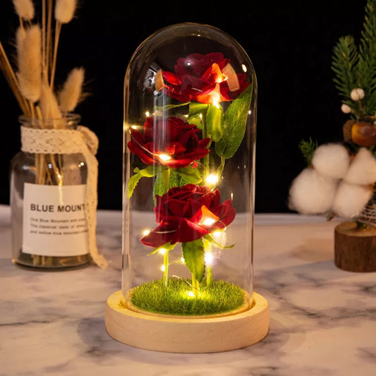 Lumière Romantique en Bouteille - X10 Maroc - Livraison gratuite - Marron clair